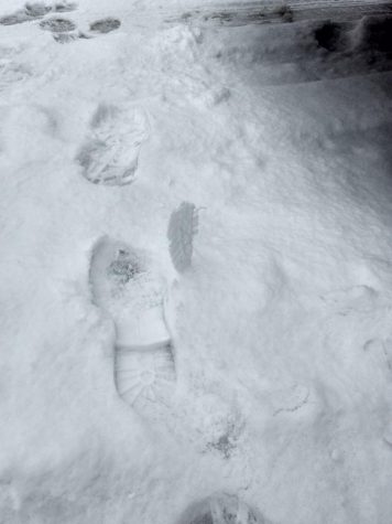 A craftful footstep seemingly defies gravity, refusing to hit the ground. Though untouched snow may be stunning, sometimes daring footprints bring a spark of humanity on a cold and barren surface.
- Laine Cibulskis