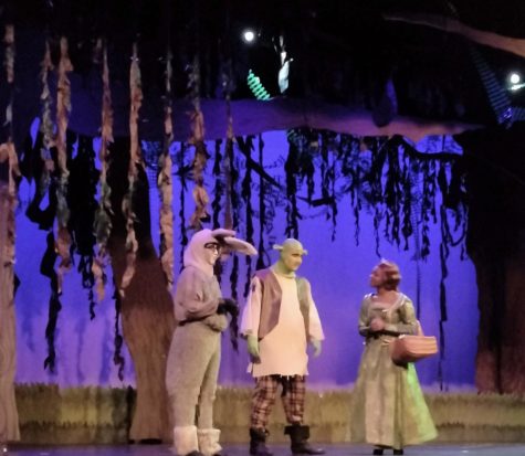 NEWS: Shrek brings fairy tale characters to stage