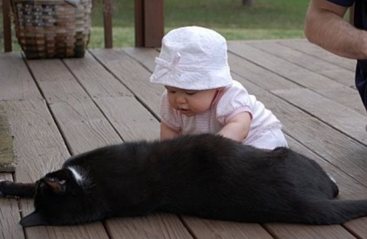 Mia Graske as a baby with her childhood cat Zip on the deck.